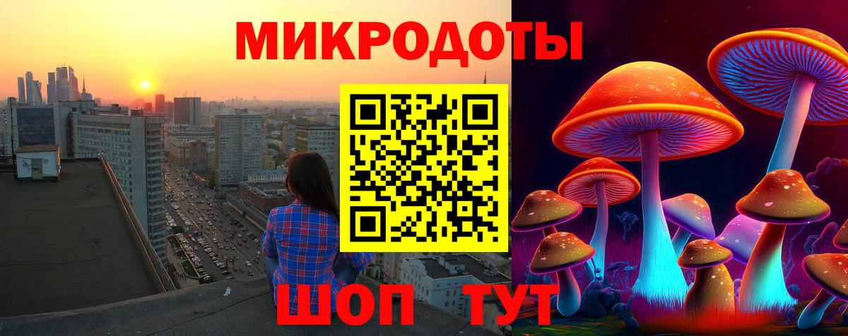 Югорск  Псилоцибиновые грибы Cubensis  Вход с VPN  Галлюциногенные грибы Psilocybe 